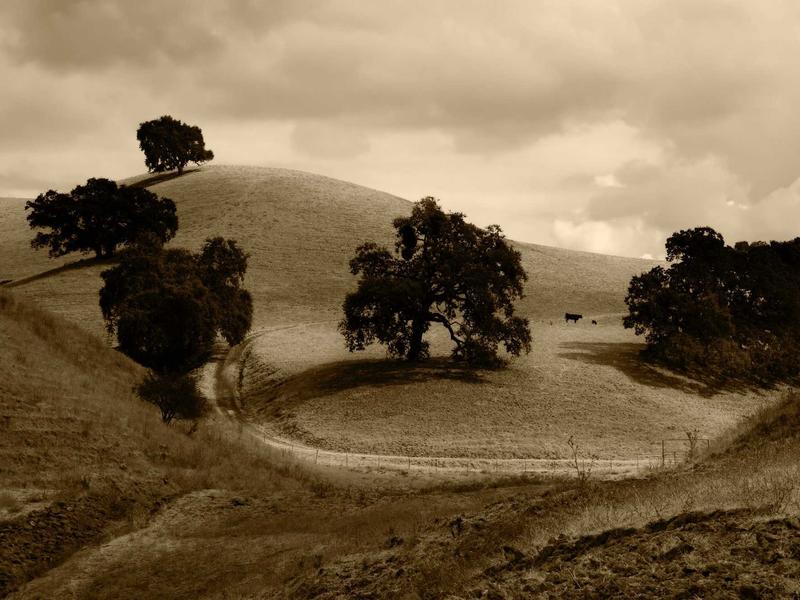 sudoku hidato screenshot 3